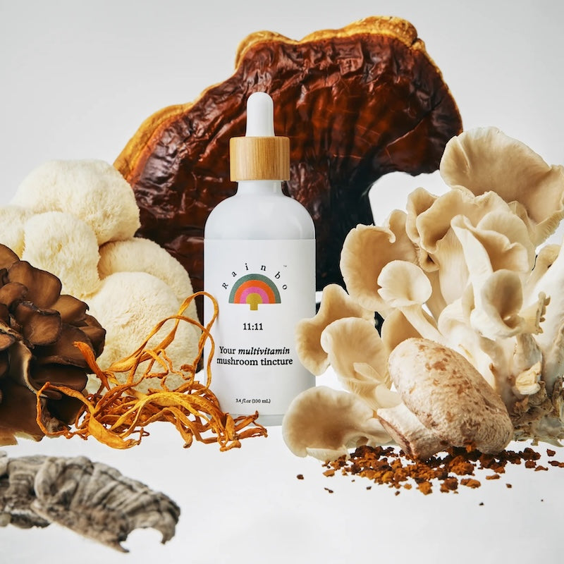 A bottle of Rainbo 11:11 Super Multi-Mushroom Tincture surrounded by various dried mushrooms and natural elements on a white background.
