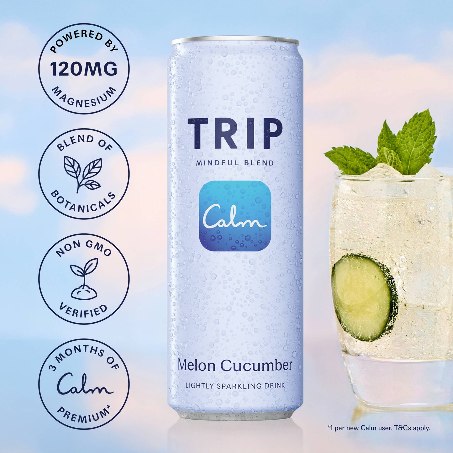 TRIP - Mindful Blend Melon Cucumber 4 pack (6 x 4 packs)
