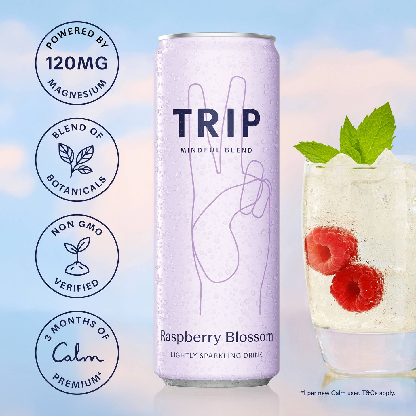 TRIP - Mindful Blend Raspberry Blossom 4 pack (6 x 4 packs)