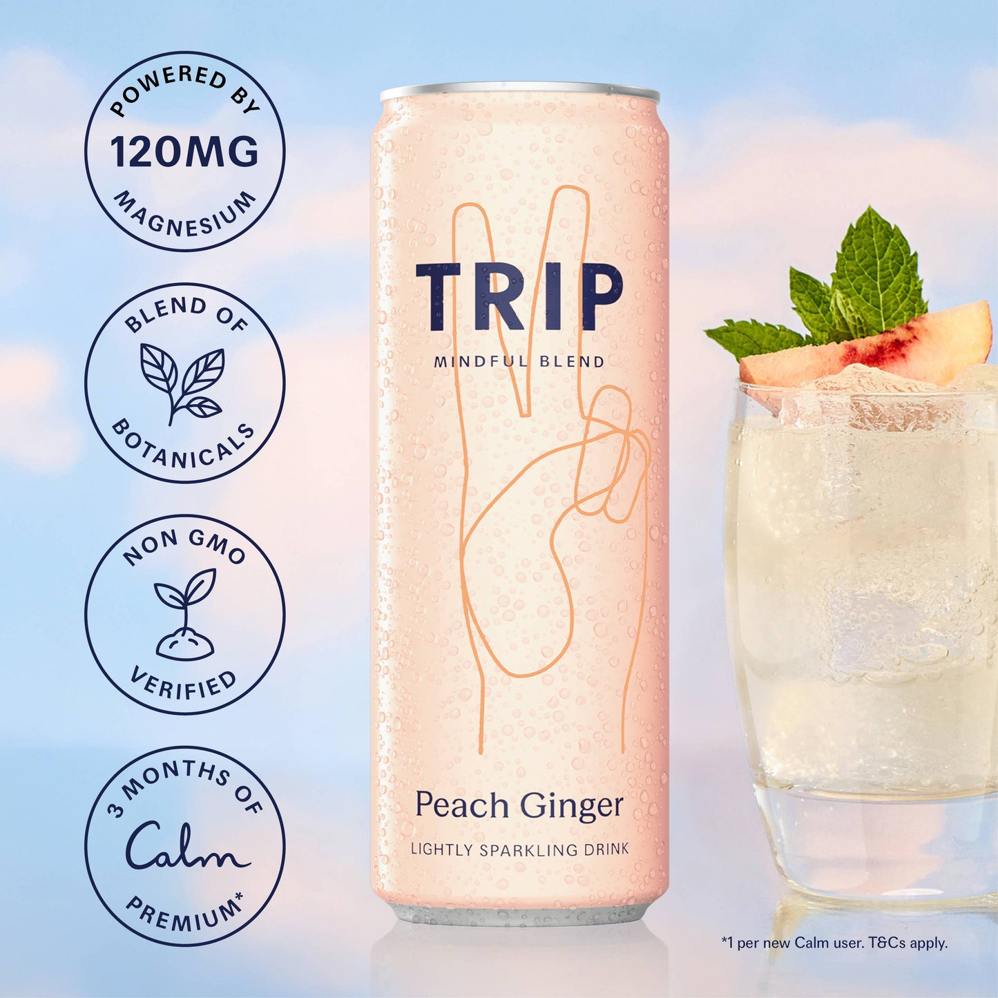 TRIP - Mindful Blend Peach Ginger 4 pack (6 x 4 packs)